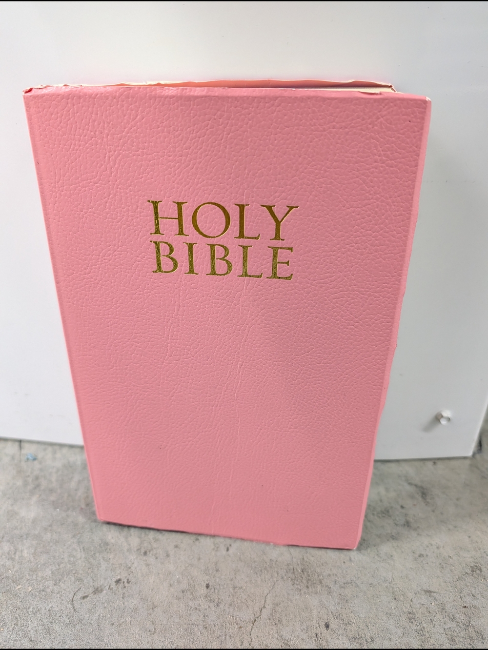 Pink Holy Bible with Gold Lettering
